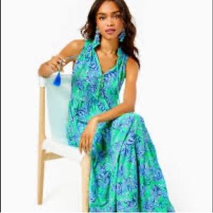 Lilly Pulitzer Malone Maxi.  Medium. Worn once for pictures.